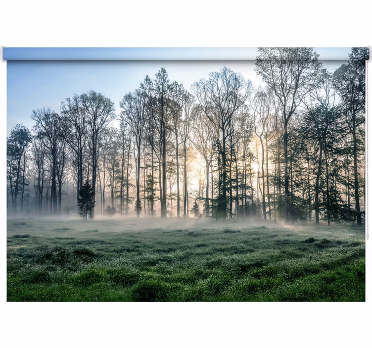 Rullegardin træ tåget morgengry eng - TenStickers