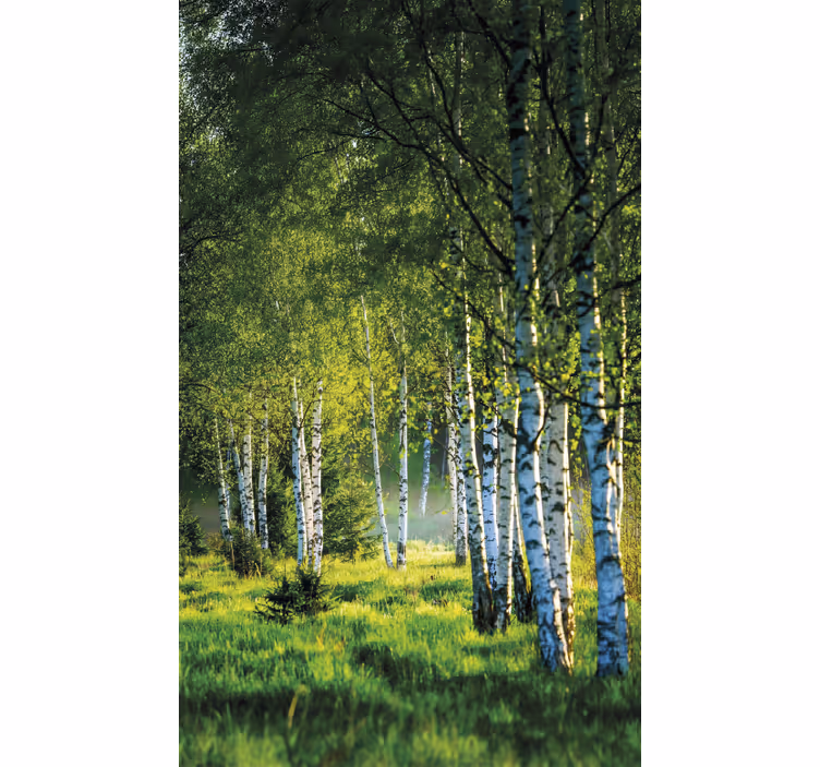 Rullegardin træ birch grove moderne - TenStickers
