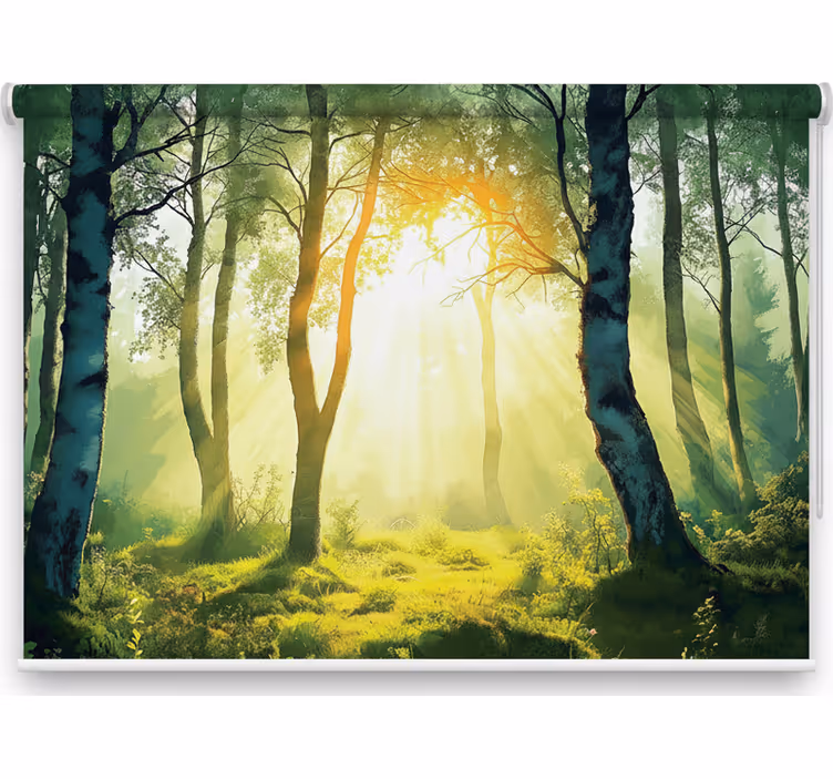 Rullegardin træ solbeskinnet birk mural - TenStickers
