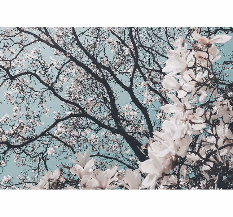 Rullegardiner til stue i elegant japansk kirsebærblomst - TenStickers