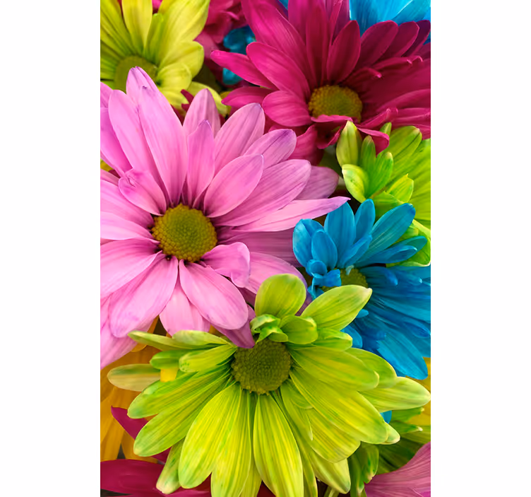 Rullegardiner til stue med farverige blomster - TenStickers