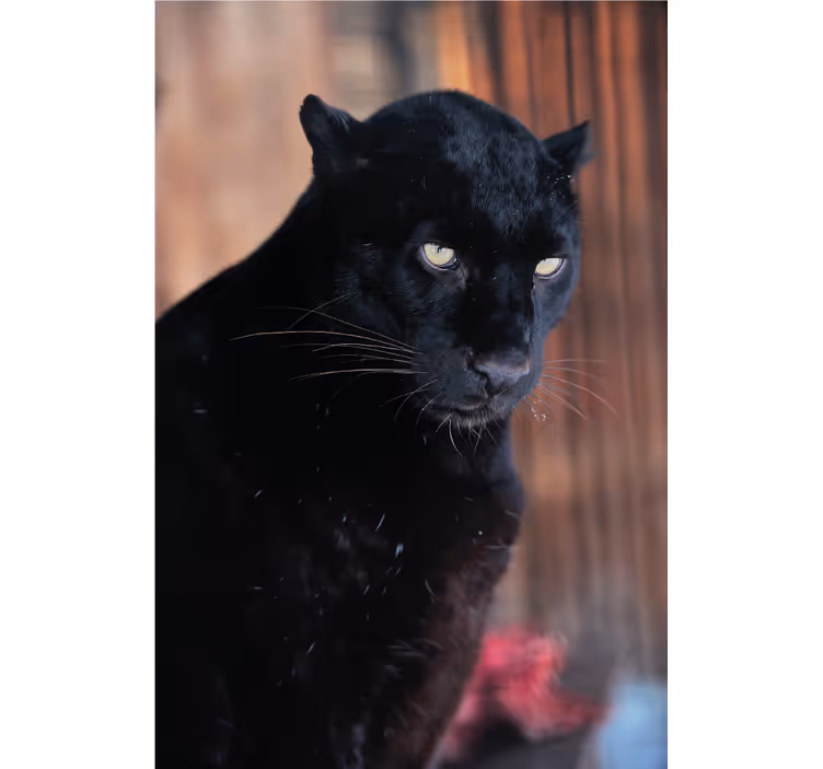 Rullegardiner til stue leopardjagt - TenStickers