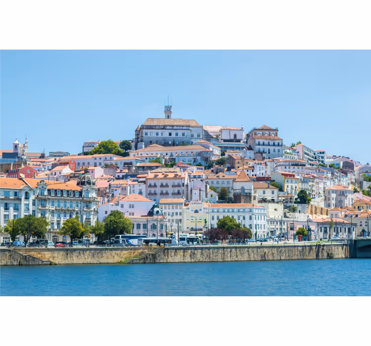 Rullegardiner til stue coimbra - TenStickers