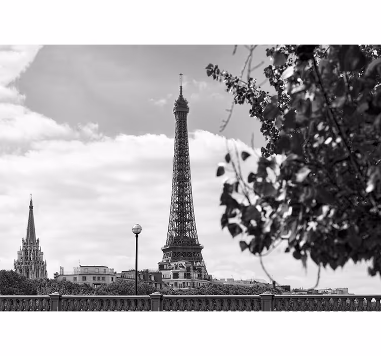 Rullegardiner til stue med sort og hvid eiffel-tårn - TenStickers