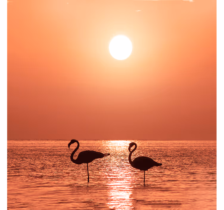 Rullegardiner til stue flot flamingo med solnedgang - TenStickers