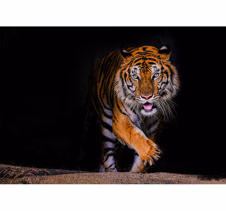 Sort rullegardin i tigerdesign - TenStickers