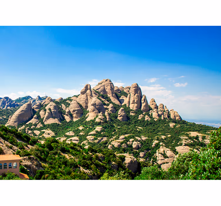 Rullegardiner til stue med fotomural fra montserrat - TenStickers