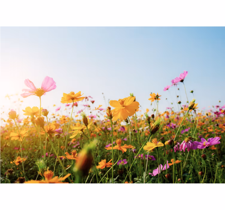 Rullegardiner til stue med blomsterdesign - TenStickers