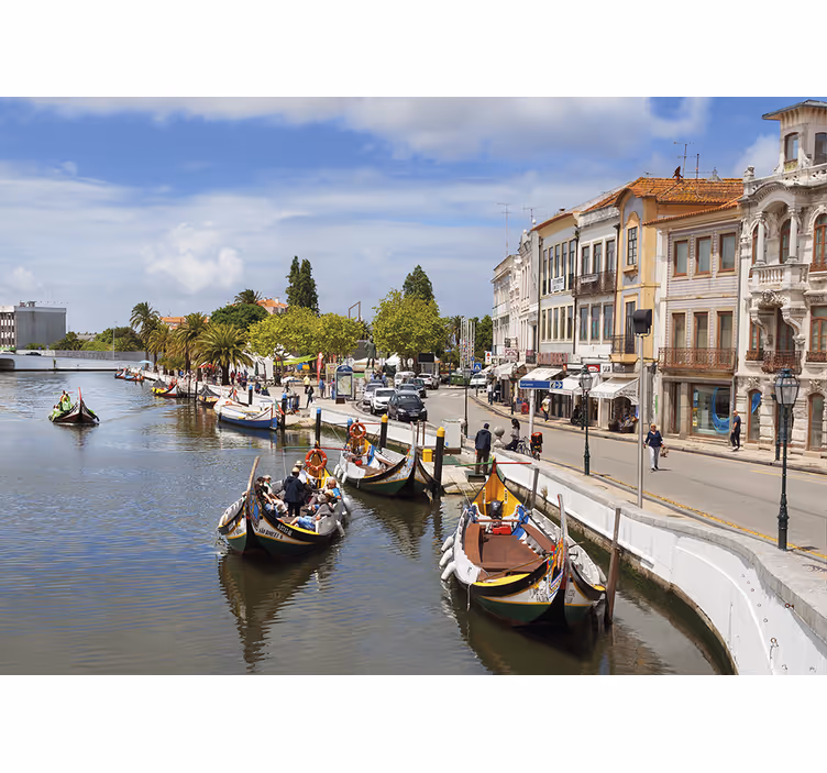 Rullegardiner til stue aveiro moliçeiro - TenStickers