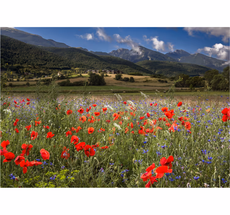 Rullegardiner til stue smuk prærie med blomster - TenStickers