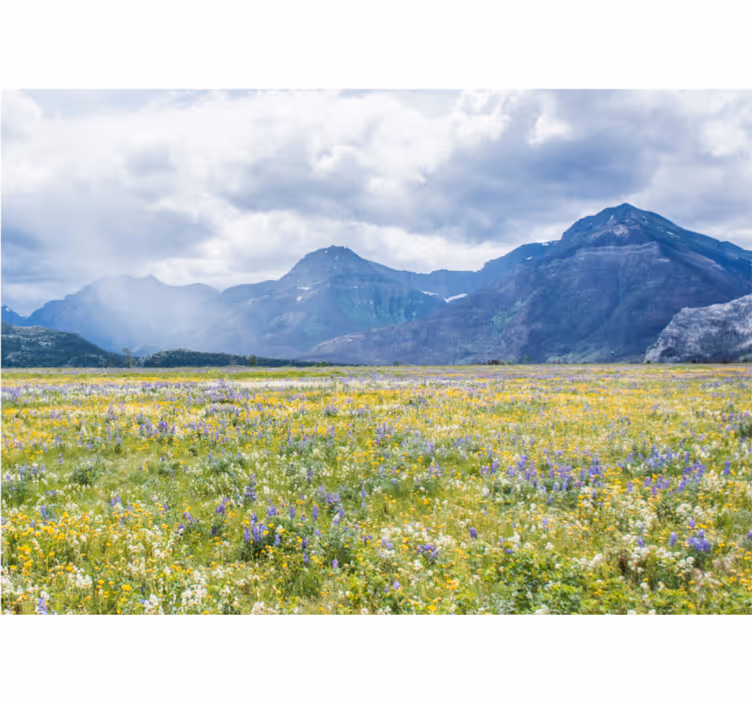 Rullegardiner til stue små blomsterenge - TenStickers