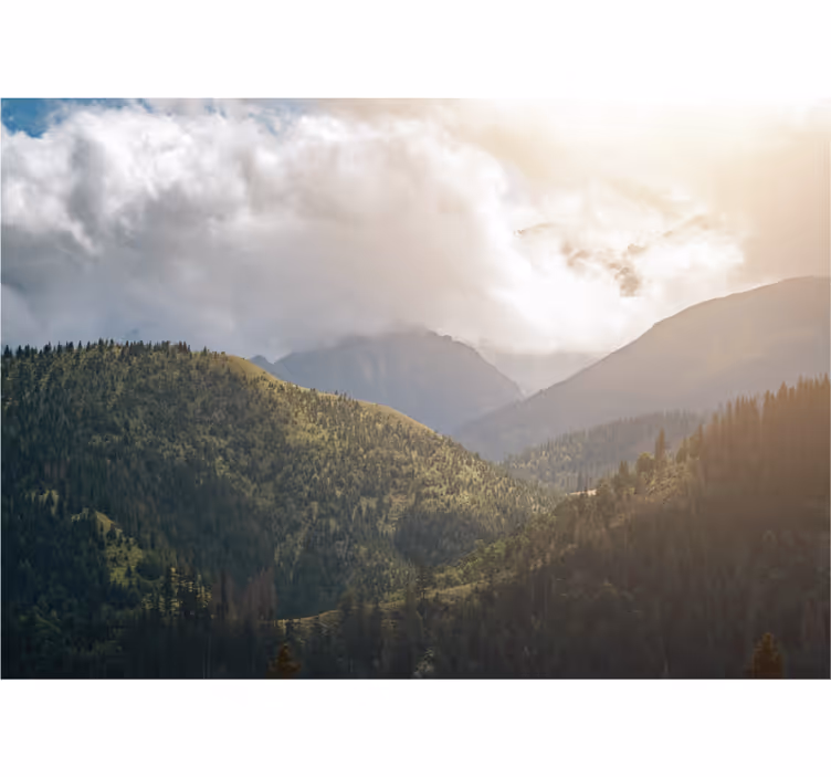 Rullegardiner til stue tatra nationalpark - TenStickers