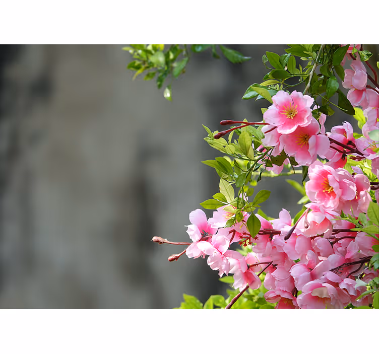 Rullegardiner til stue med pink blomster 3d - TenStickers
