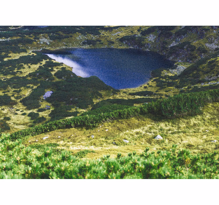 Rullegardiner til stue grøn polske tatry - TenStickers