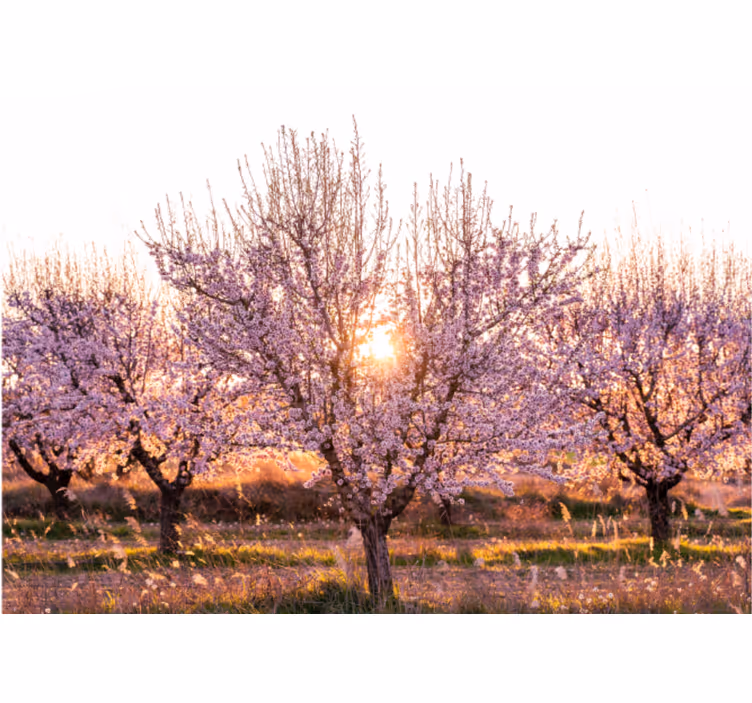 Rullegardiner til stue pink landskab med blomster - TenStickers