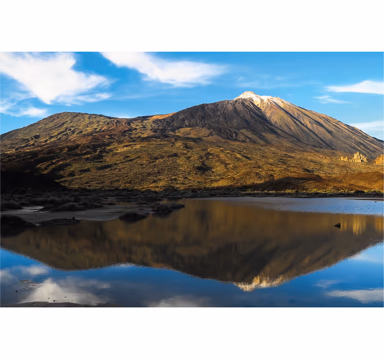 Rullegardiner til stue teide spejlet i vand - TenStickers