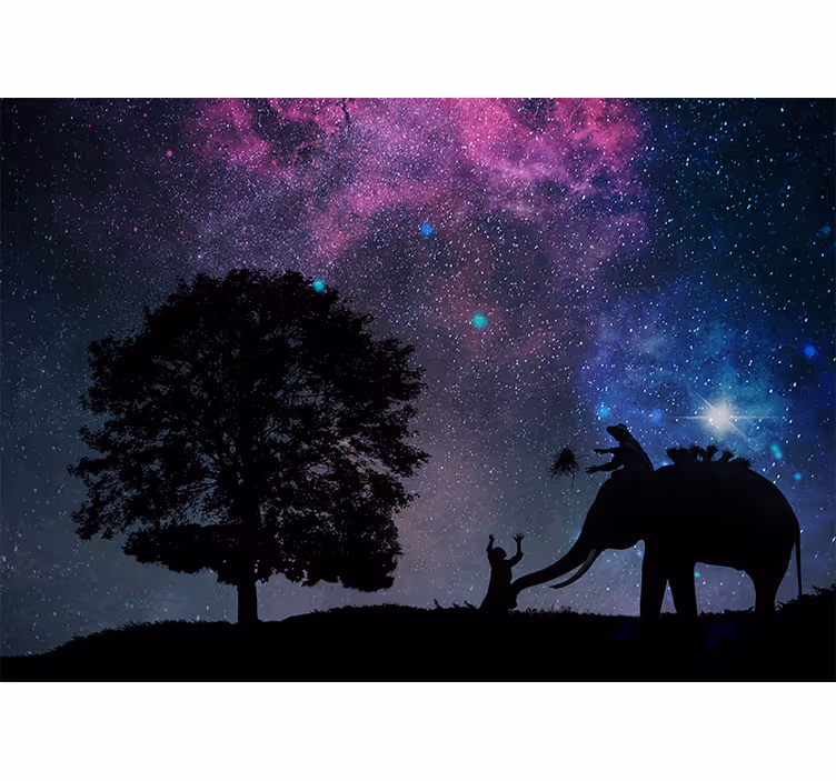 Rullegardiner til stue stjernehimmel elefant - TenStickers