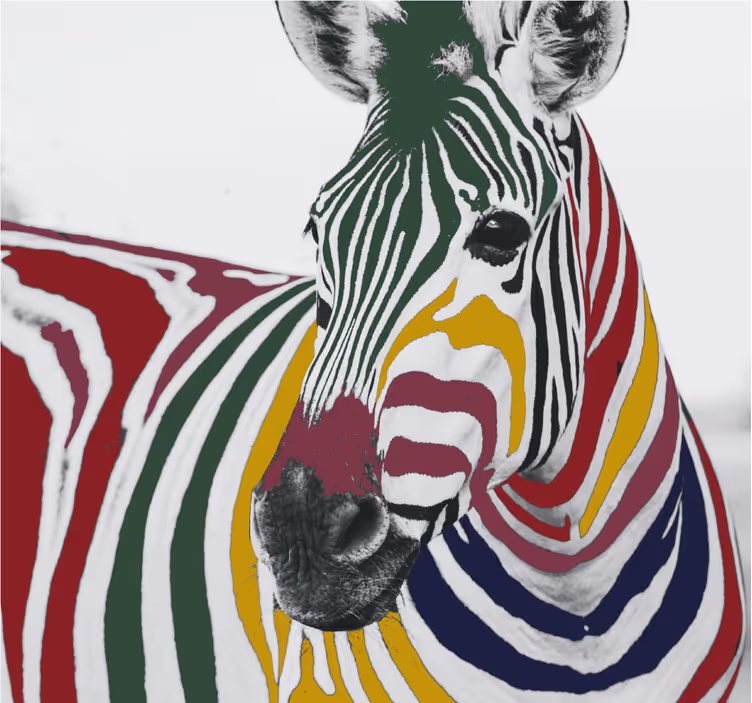 Rullegardiner til stue med farverig zebra kunst - TenStickers