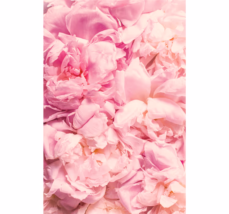 Soveværelse rullegardiner med realistiske pæonblomster - TenStickers