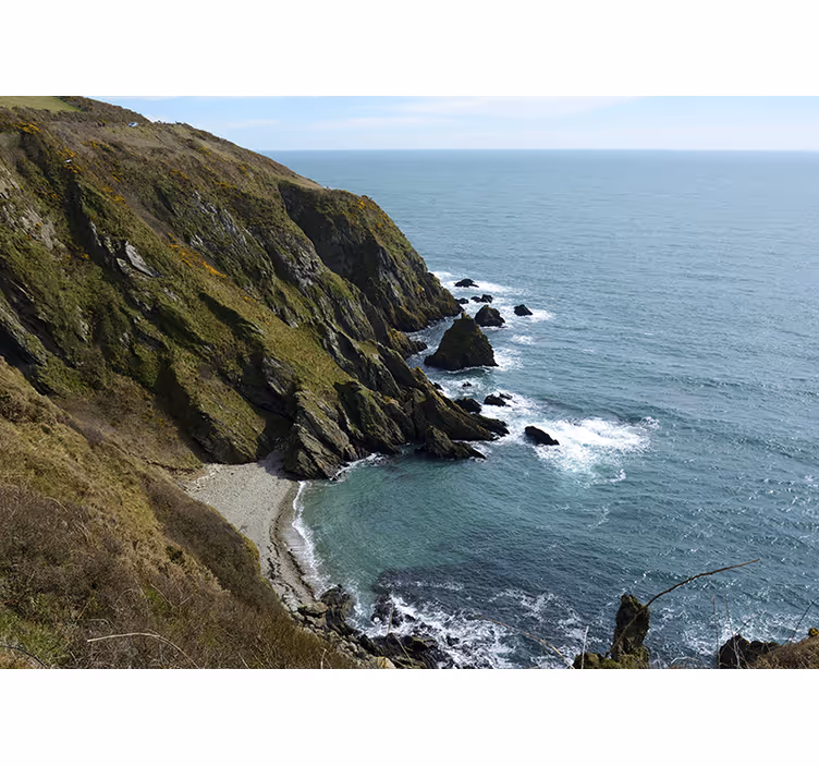 Rullegardiner til stue ensomme klippe - TenStickers