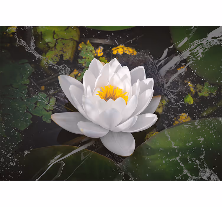 Soveværelse rullegardiner hvid og gul lotus - TenStickers