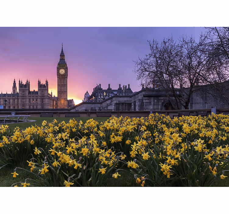 Soveværelse rullegardiner big ben med sollys - TenStickers