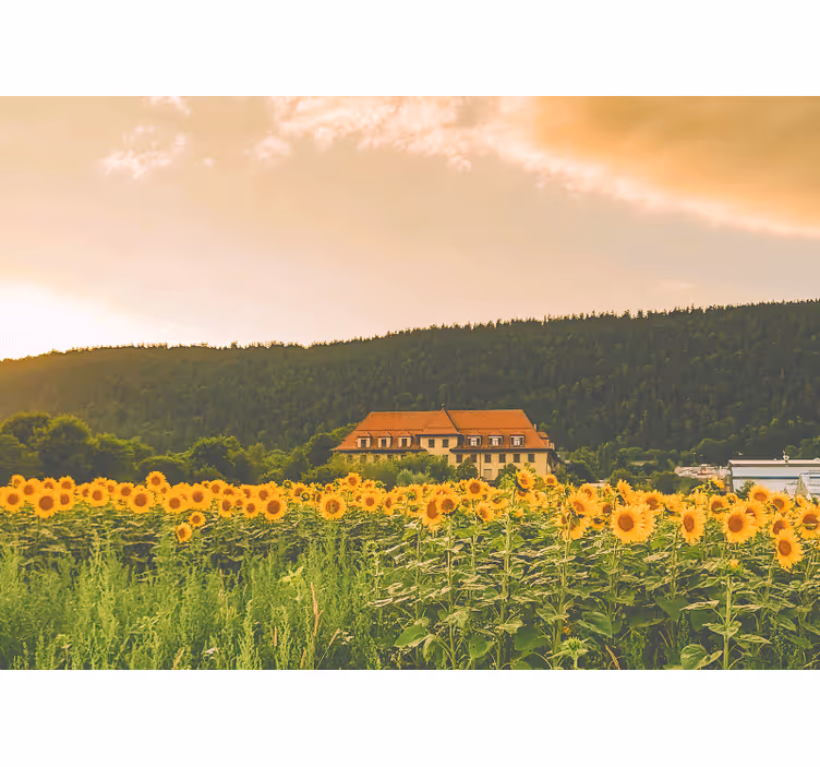 Soveværelse rullegardiner smukt dækket af gule blomster - TenStickers