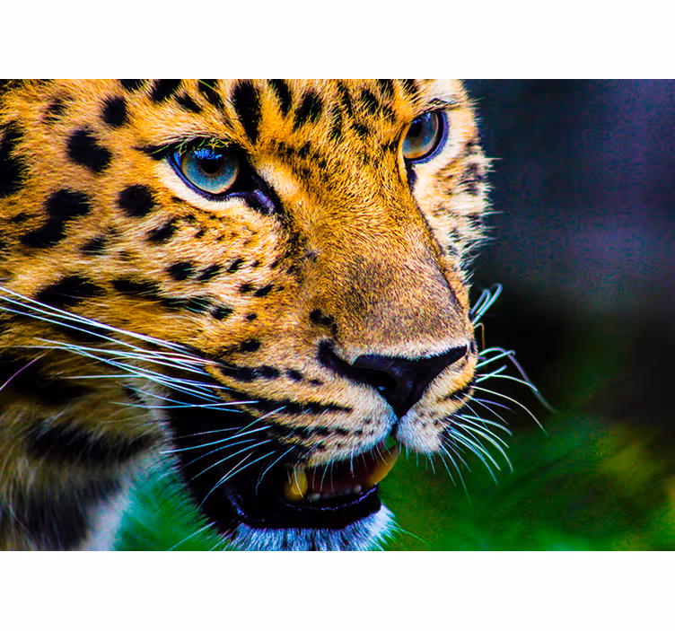 Soveværelse rullegardiner leopard ansigt - TenStickers