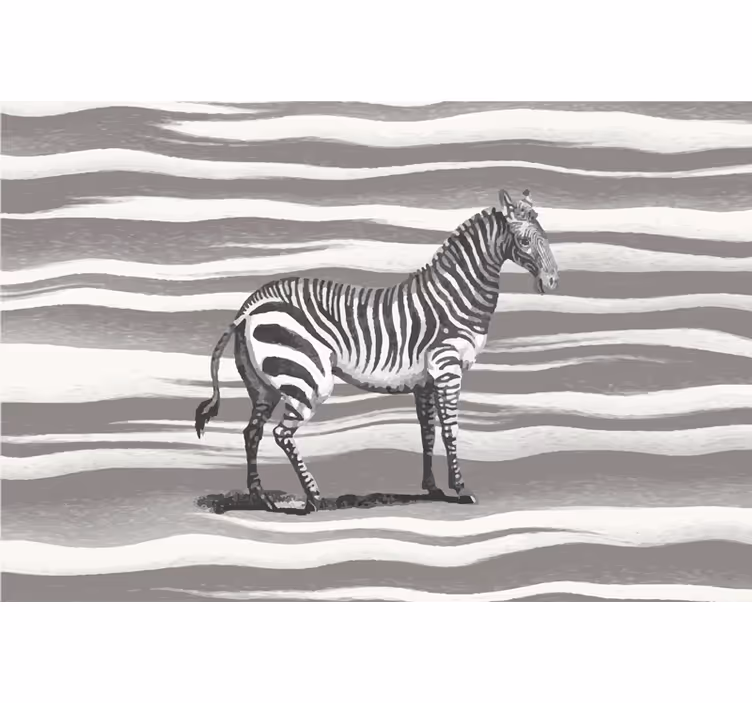 Grå rullegardin med vintage zebra illustration - TenStickers