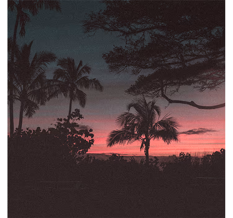Rullegardiner til stue træer pink himmel solnedgang - TenStickers