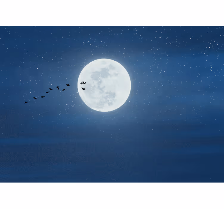 Rullegardiner til stue måne og himmel - TenStickers