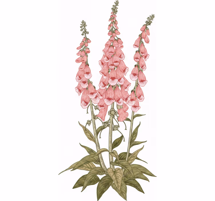 Rullegardiner til stue med pink blomster - TenStickers