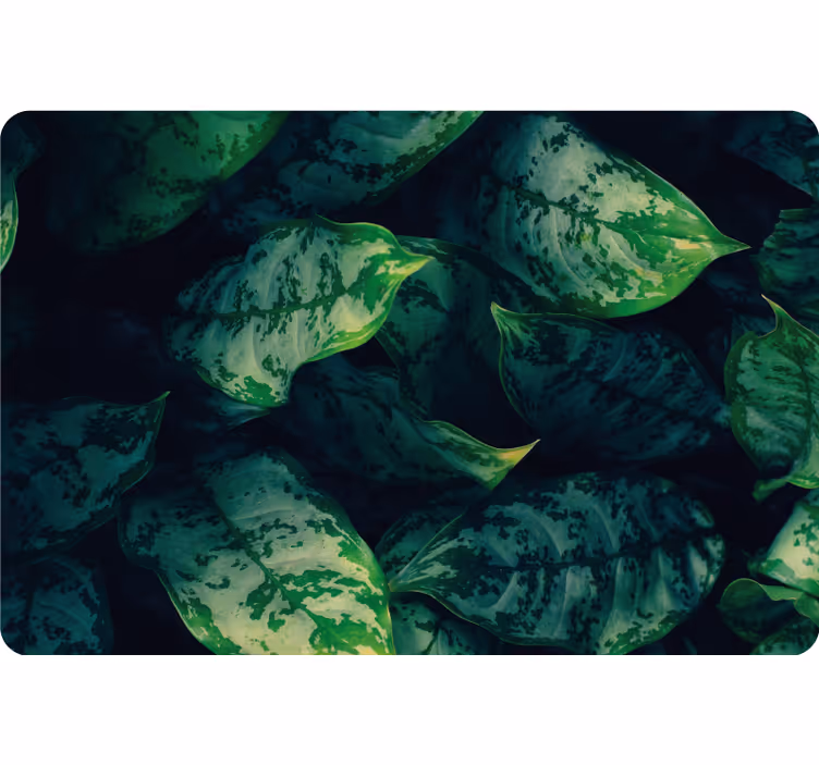 Soveværelse rullegardiner maranta blade - TenStickers