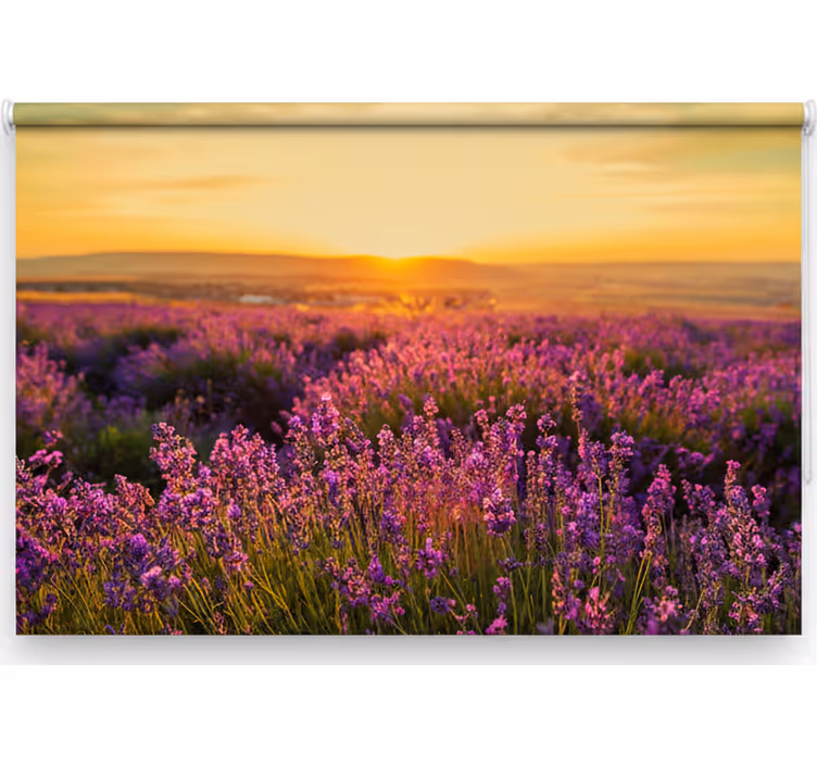 Soveværelse rullegardiner panoramisk provence - TenStickers