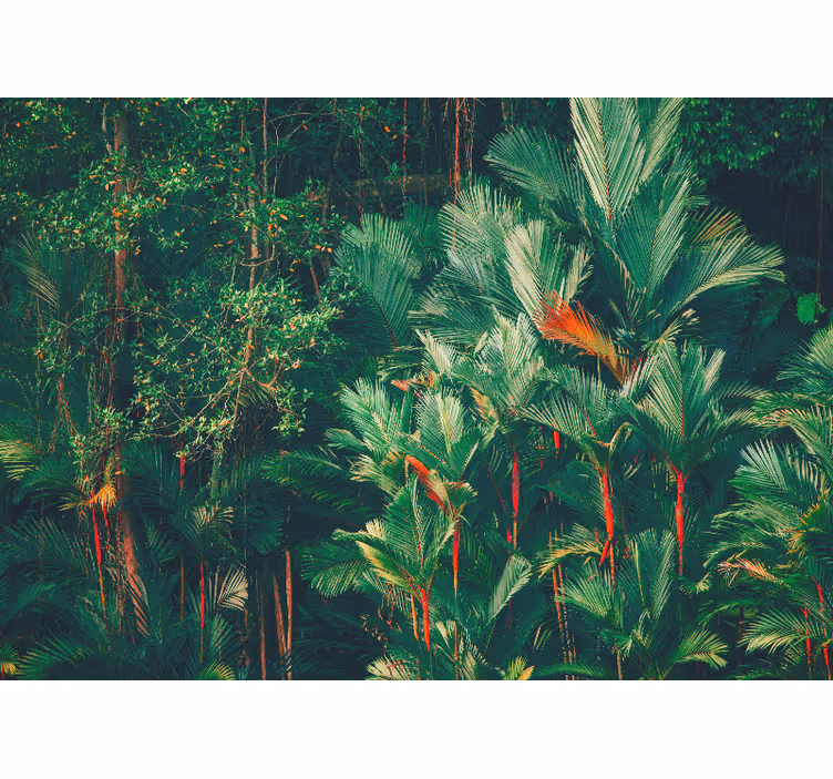 Soveværelse rullegardiner jungle morgen - TenStickers
