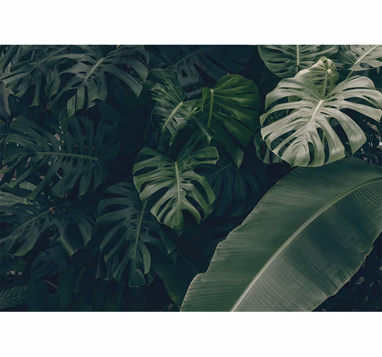 Soveværelse rullegardiner smuk grøn jungle skov - TenStickers
