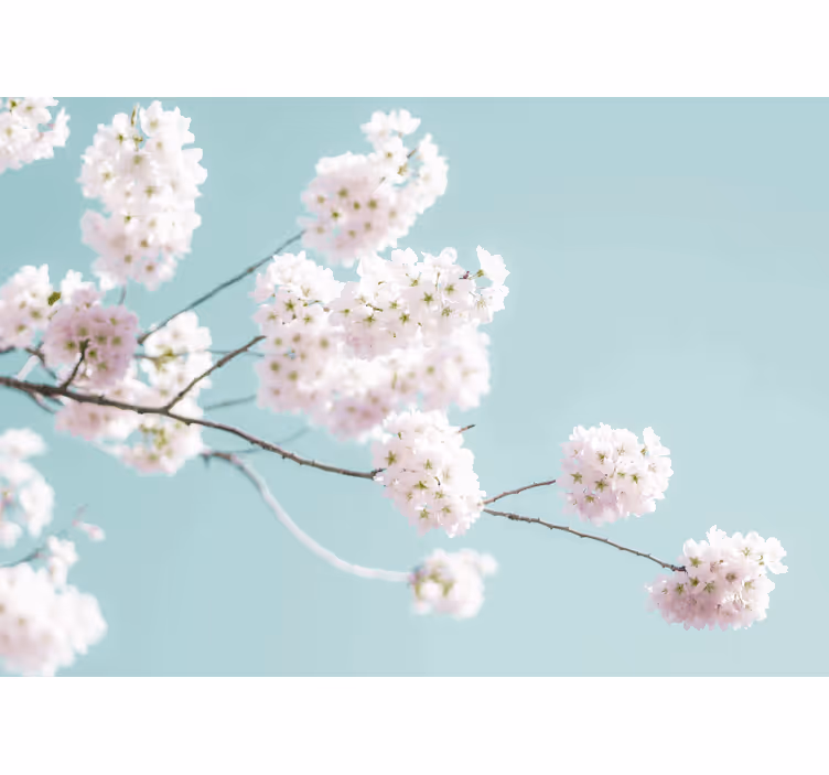 Hvid rullegardin med elegant og feminin blomsterdesign - TenStickers