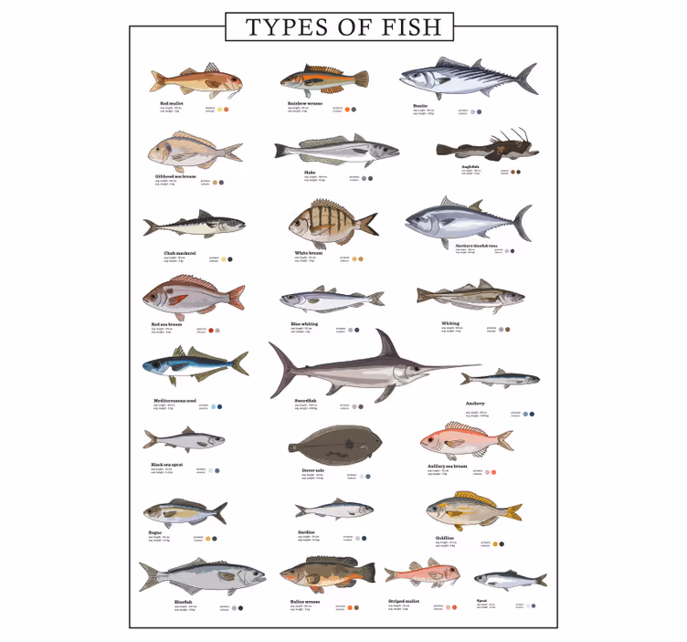 Rullegardin køkken fiskemotiv - TenStickers