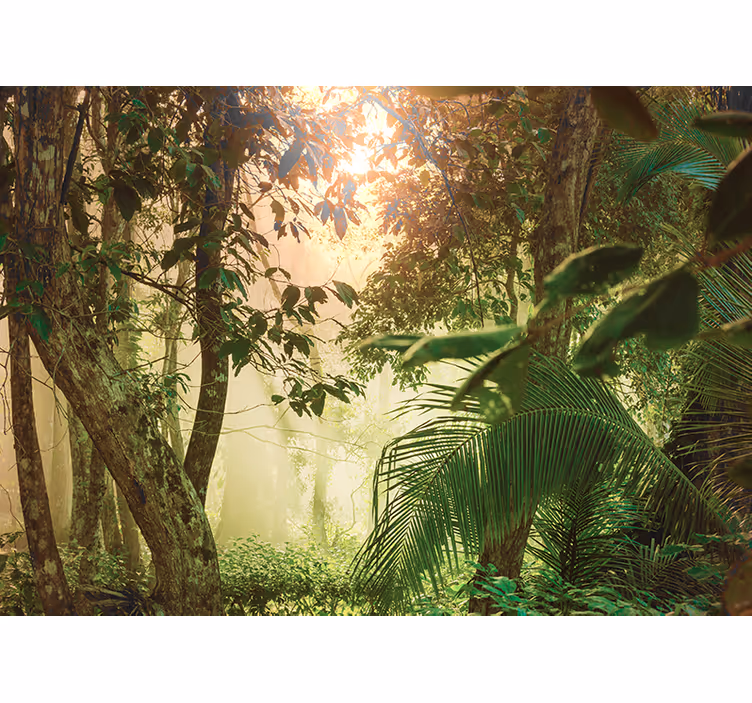 Soveværelse rullegardiner amazonas liv - TenStickers