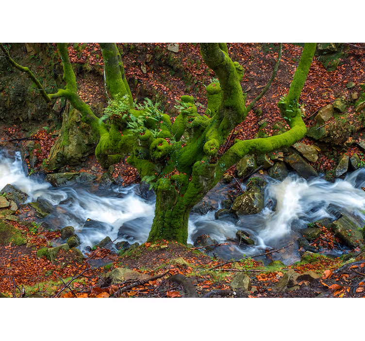 Rullegardiner til stue gorbea - TenStickers