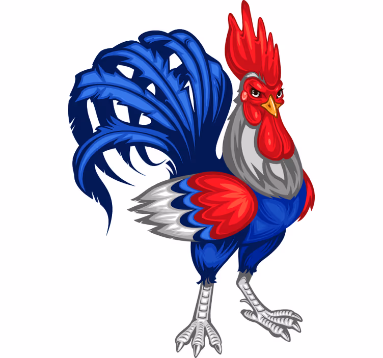 Rullegardin teenager fransk dekorativ vinyl - TenStickers