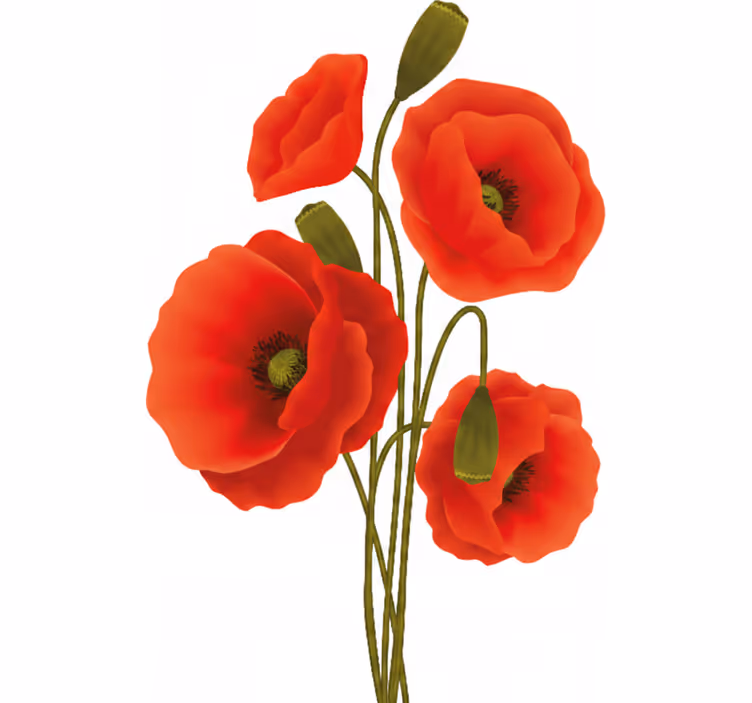 Blomstret rullegardin med valmuer - TenStickers