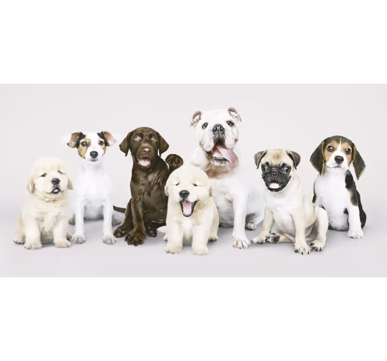 Dyr på rullegardiner hundefotografi hvalpe - TenStickers