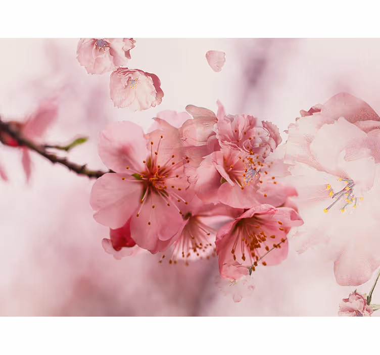Rullegardin til badeværelse blomsterdesign - TenStickers