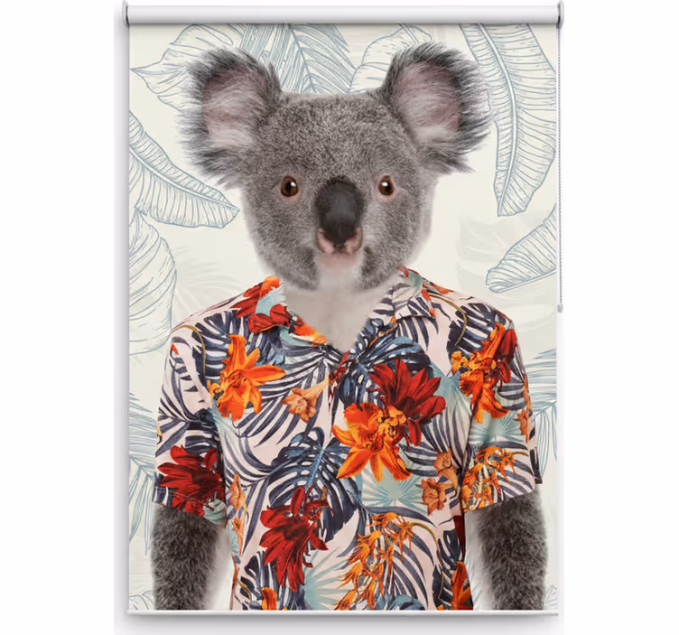 Rullegardin teenager elegant koala - TenStickers