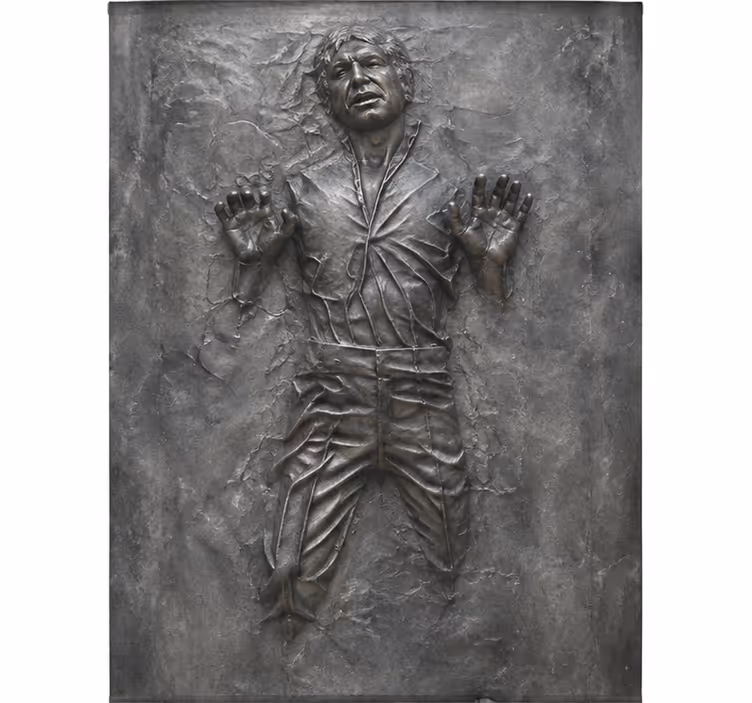 Rullegardiner med serier han solo i carbonit - TenStickers
