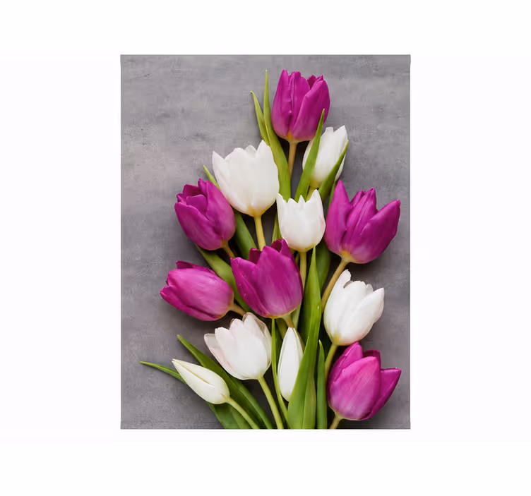 Lilla rullegardin tulipaner ægte - TenStickers
