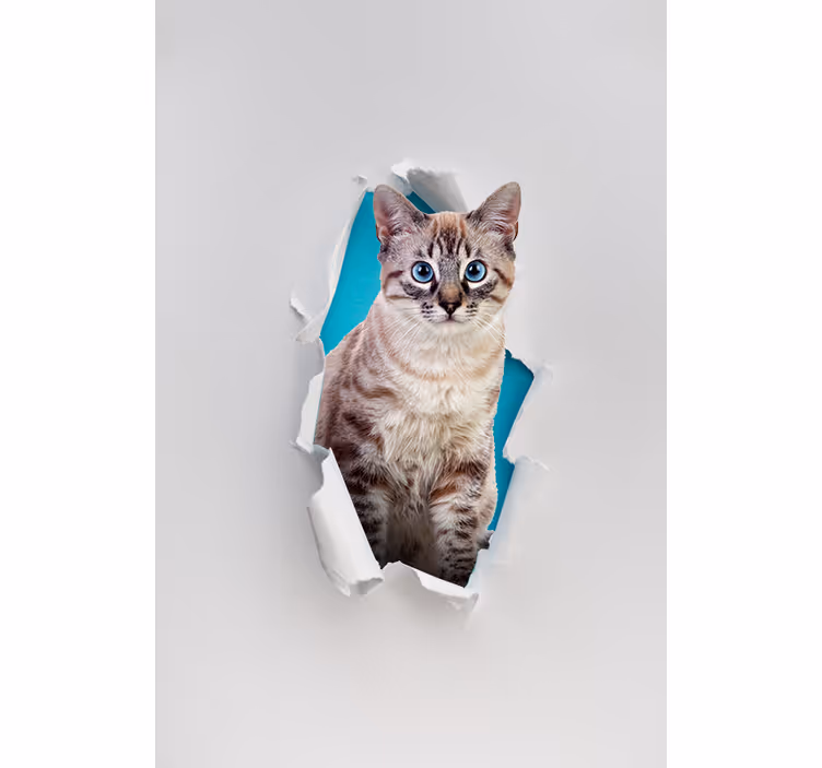 Kat forskellige dyr rullegardin - TenStickers