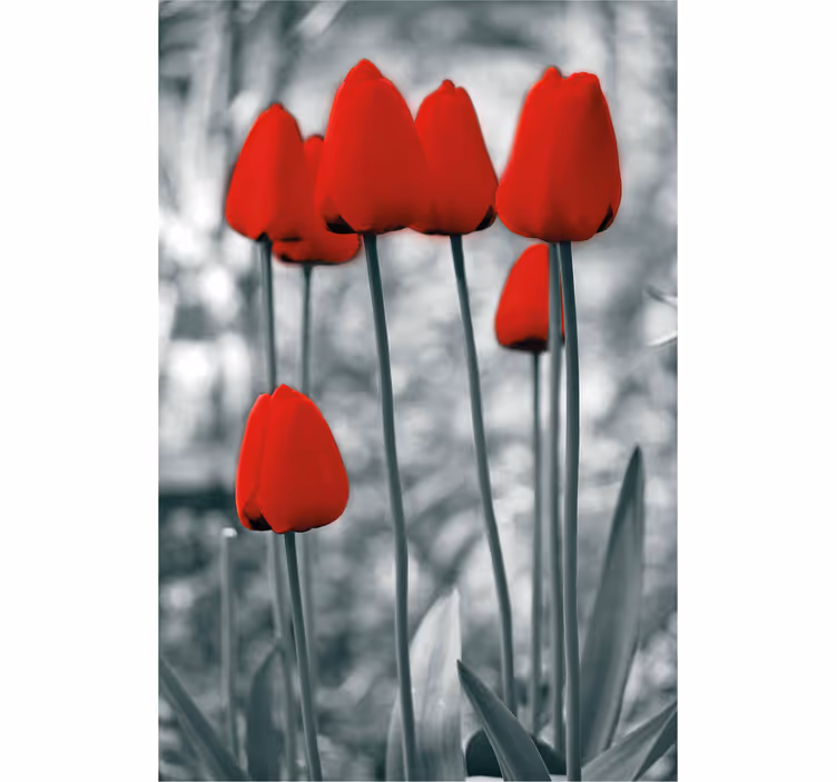 Røde tulipaner farverige blomsterRullegardiner - TenStickers