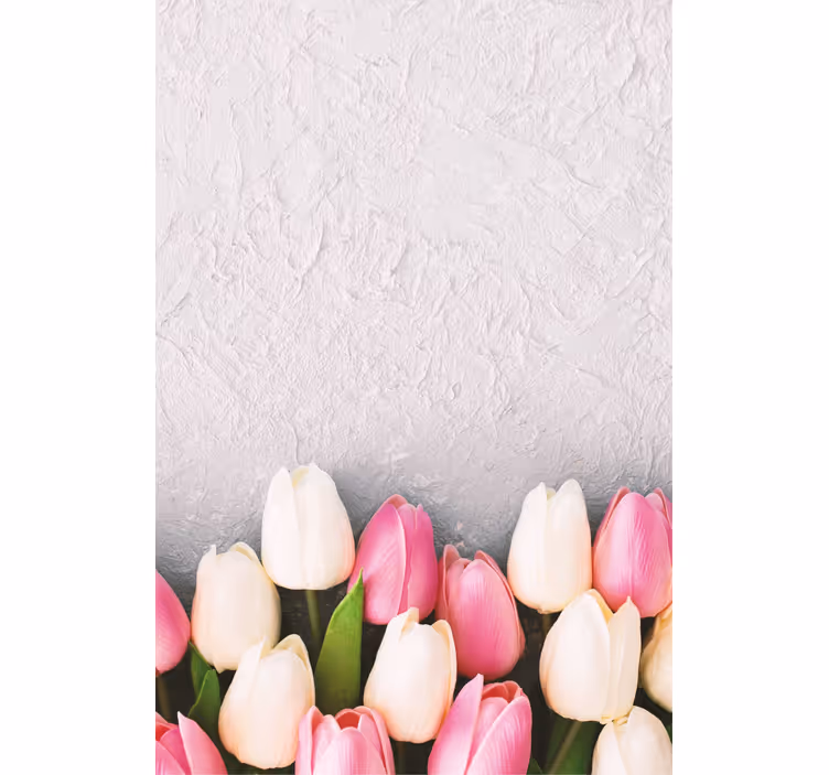 Hvide og lyserøde tulipaner blomsterRullegardiner - TenStickers